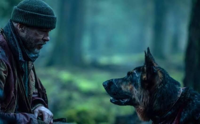 Man’s Best Friendly Survival Saga