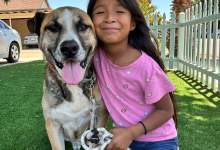 A Second Chance for Santa Barbara’s Senior Dogs