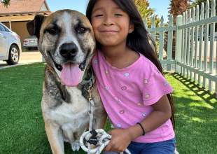 A Second Chance for Santa Barbara’s Senior Dogs