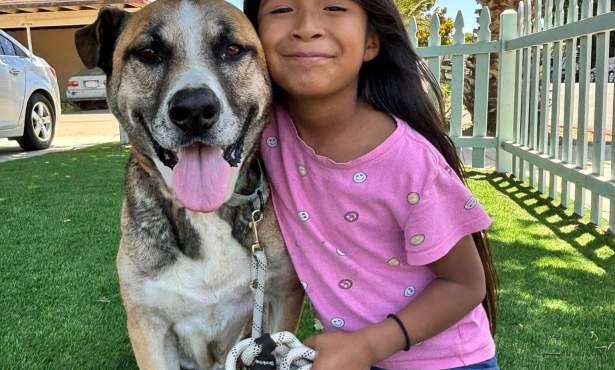 A Second Chance for Santa Barbara’s Senior Dogs