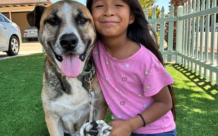 A Second Chance for Santa Barbara’s Senior Dogs