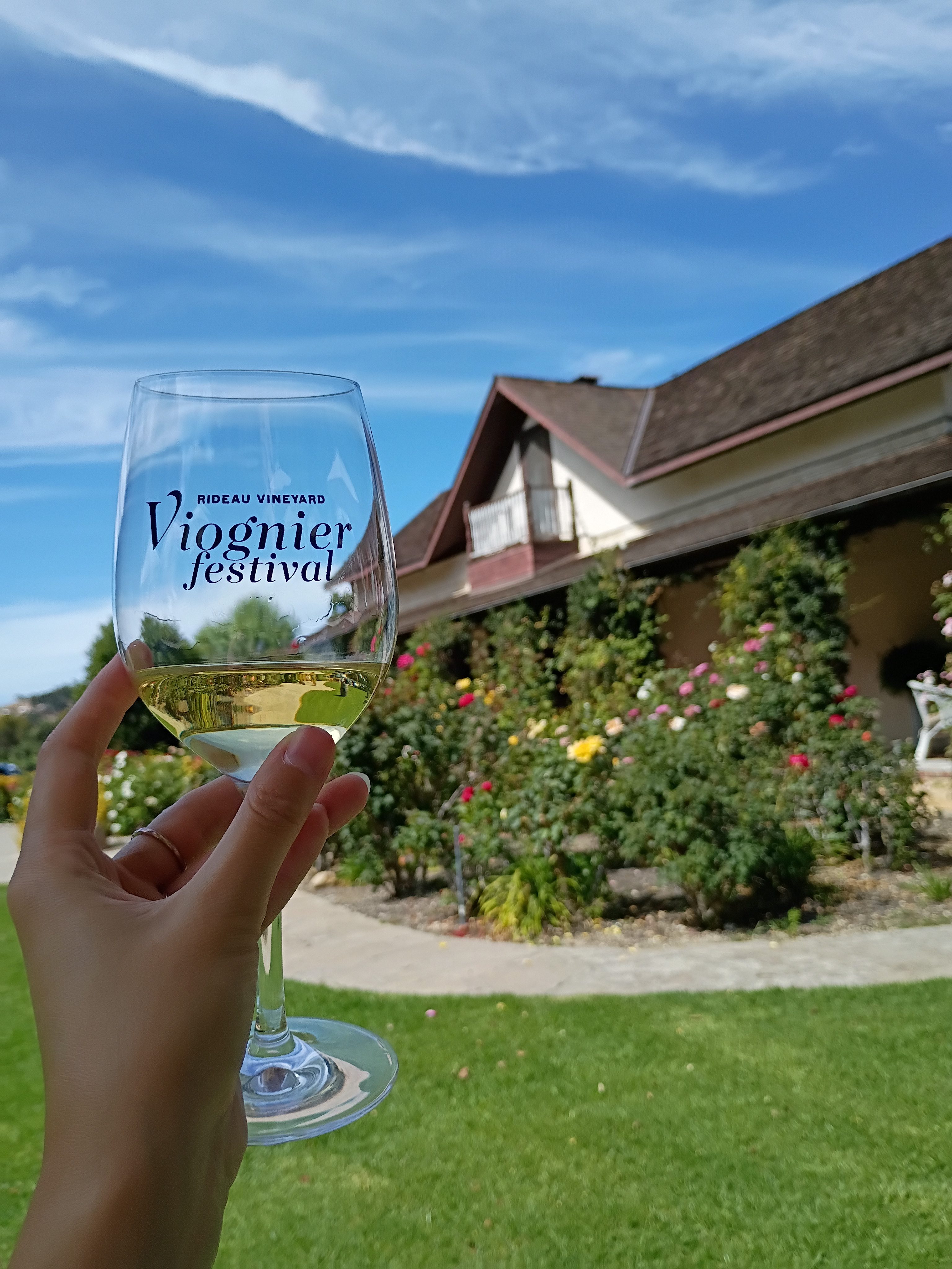 Rideau Vineyards Ninth Annual Viognier Festival Draws Record Crowd
