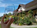 Rideau Vineyard’s Ninth Annual Viognier Festival Draws Record Crowd