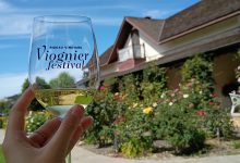 Rideau Vineyard’s Ninth Annual Viognier Festival Draws Record Crowd