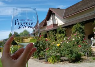 Rideau Vineyard’s Ninth Annual Viognier Festival Draws Record Crowd