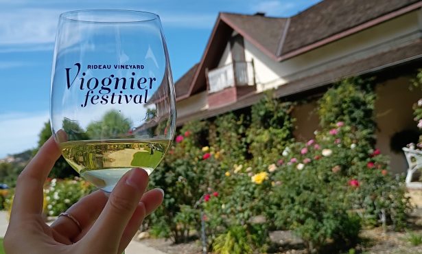 Rideau Vineyard’s Ninth Annual Viognier Festival Draws Record Crowd