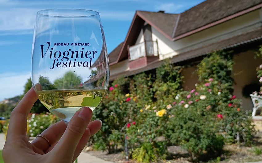 Rideau Vineyard’s Ninth Annual Viognier Festival Draws Record Crowd