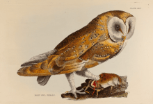 Selby’s Circles: Art & Nature in Romantic Britain Exhibition Opens October 9 