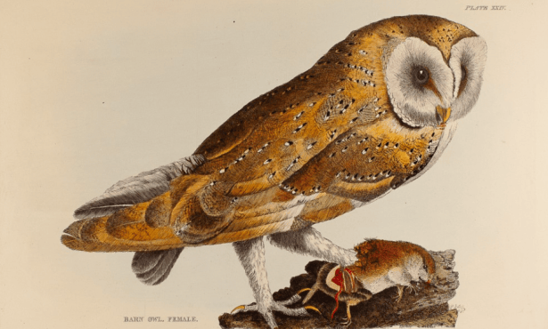 Selby’s Circles: Art & Nature in Romantic Britain Exhibition Opens October 9 