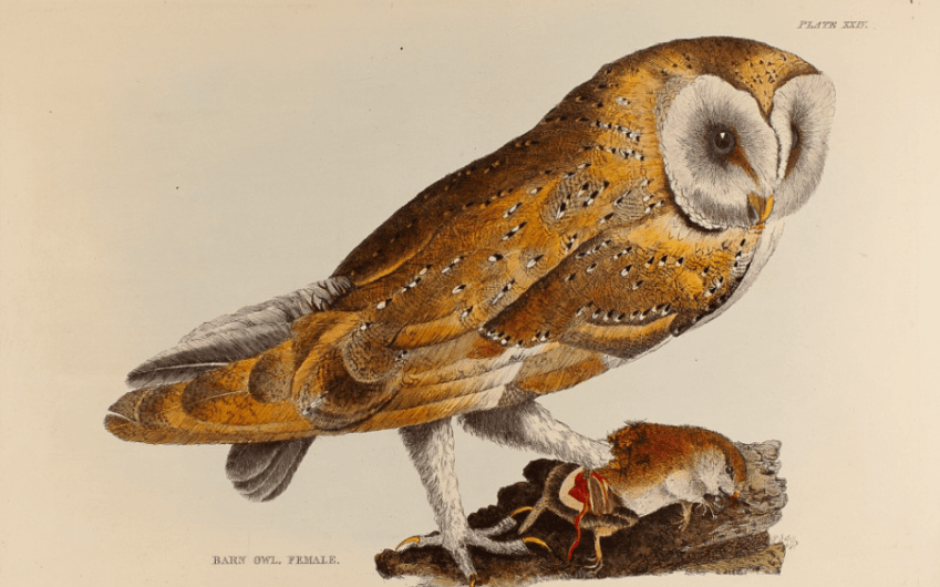 Selby’s Circles: Art & Nature in Romantic Britain Exhibition Opens October 9 