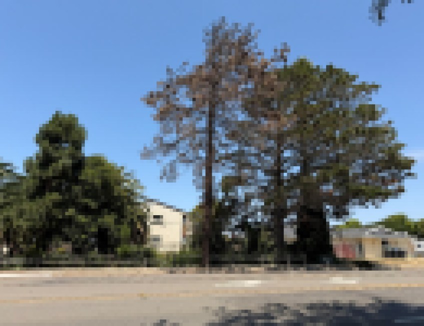 Tree Removal in Lompoc to Close One Lane on Highway 246 Beginning Tuesday, October 6