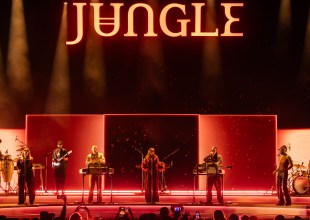 Welcome to the Jungle